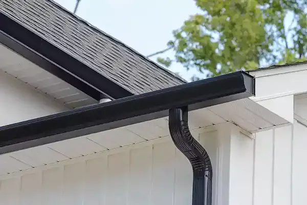 Sleek black gutter system